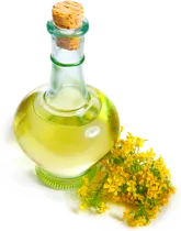 Масло канолы