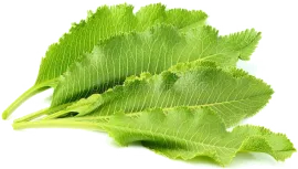 Хрен, листья