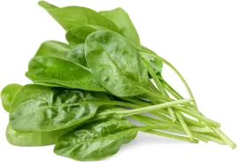 Шпинат