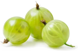 Крыжовник