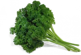 Петрушка кудрявая, зелень