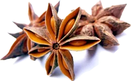 Бадьян