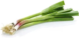 Чеснок, зелень