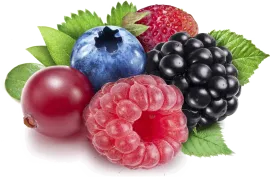 Ягоды