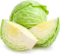 Капуста белокочанная