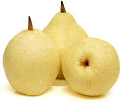 Груша китайская