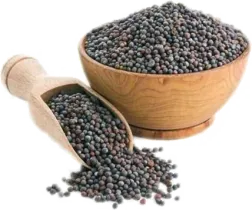 Горчица черная, семена