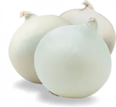 Лук репчатый, белый