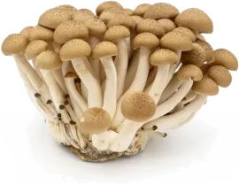 Шимеджи, сырой