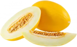 Дыня медовая