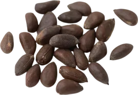 Хлопчатник, семя