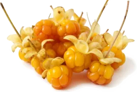 Морошка