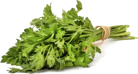 Петрушка, зелень