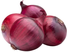 Лук репчатый, красный