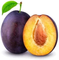Слива садовая