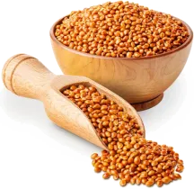 Горчица белая, семена