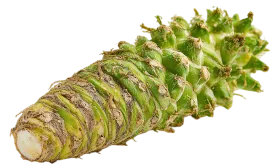 Васаби, свежий